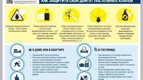 Чем вывести постельных клопов в Парижанка