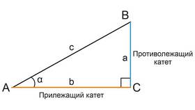 Чему равна сумма косинусов в Парижанка