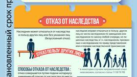 Как наследуется совместно нажитое имущество супругов в Парижанка