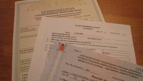 Как переоформить свидетельство в Парижанка