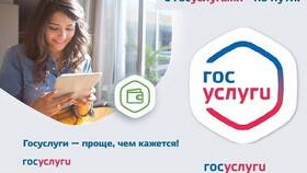 Как подать заявление на адресную помощь через Госуслуги в Парижанка