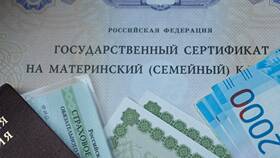 Как погасить ипотеку материнским капиталом в Парижанка
