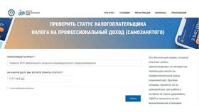 Как самозанятому правильно определить доход