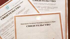 Как выглядит ИНН в электронном виде в Парижанка