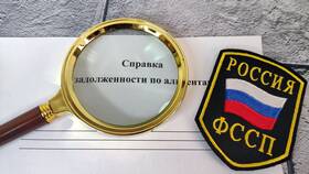 Как заказать выписку по алиментам в Парижанка