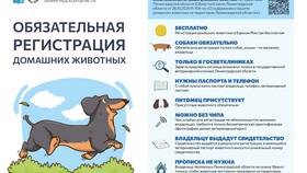 Как зарегистрировать номер телефона на паспорт в Парижанка