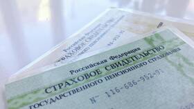 Мошенники знают номер СНИЛС: что делать в Парижанка