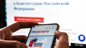 Почему не принимают Госуслуги вместо паспорта в Парижанка