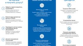 Стоимость регистрации на портале Госуслуги в Парижанка