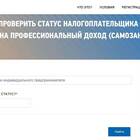 Как самозанятому правильно определить доход