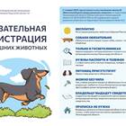 Как зарегистрировать номер телефона на паспорт